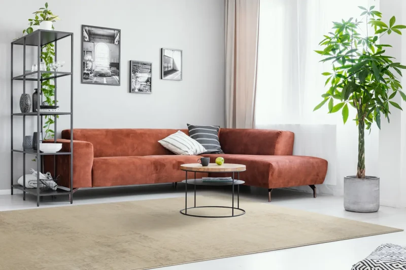 Dywan wełniany Agnella Isfahan Morano len w aranżacji