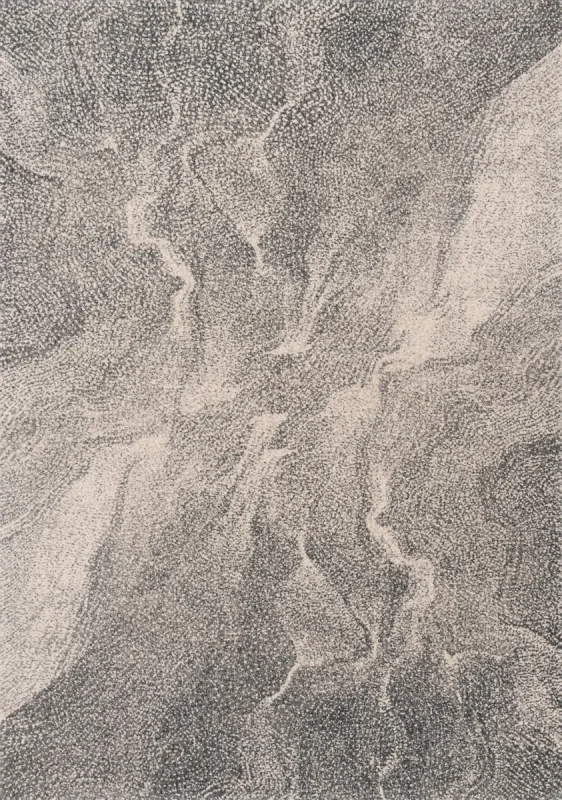 Szary dywan wełniany nowoczesny Agnella Calisia Rivo graphite.webp