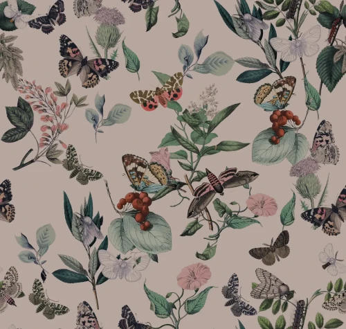 Tapeta z motywem motyli Butterfly Rowan Pink.webp