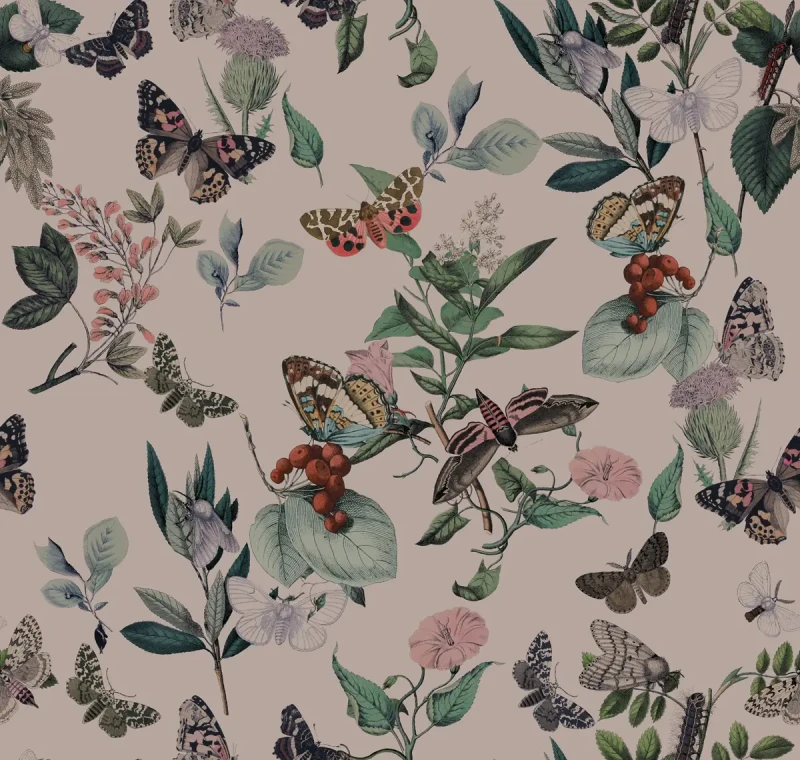 Tapeta z motywem motyli Butterfly Rowan Pink.webp