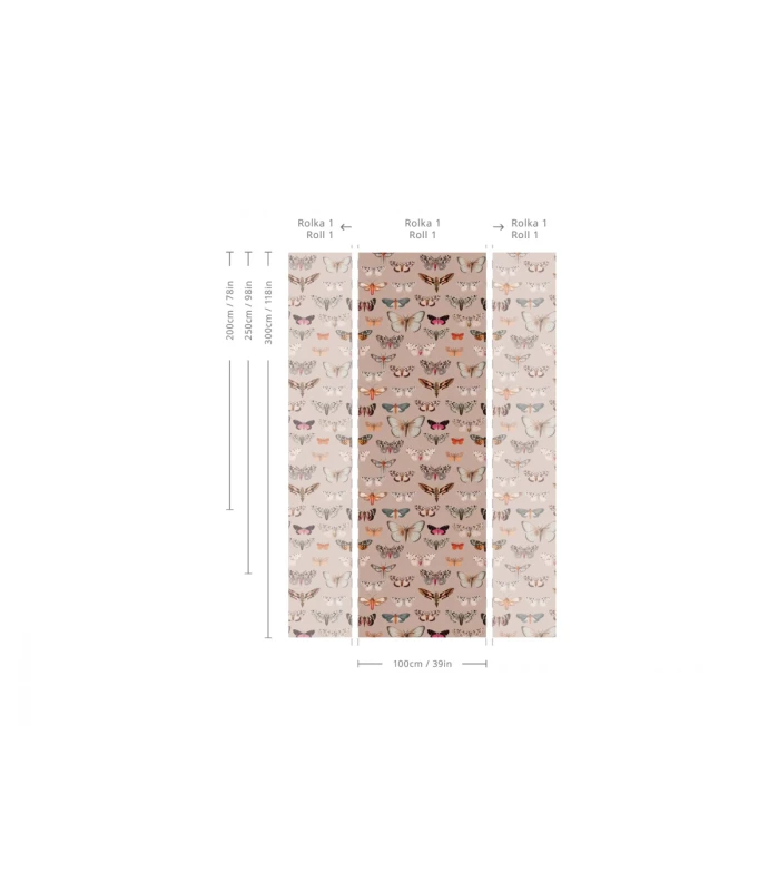 Wymiary tapety Colorful Butterfly Pink.webp