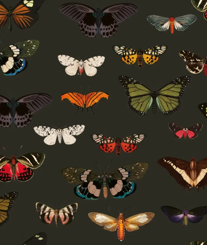 Zielona tapeta z motylami Colorful Butterfly Green.webp