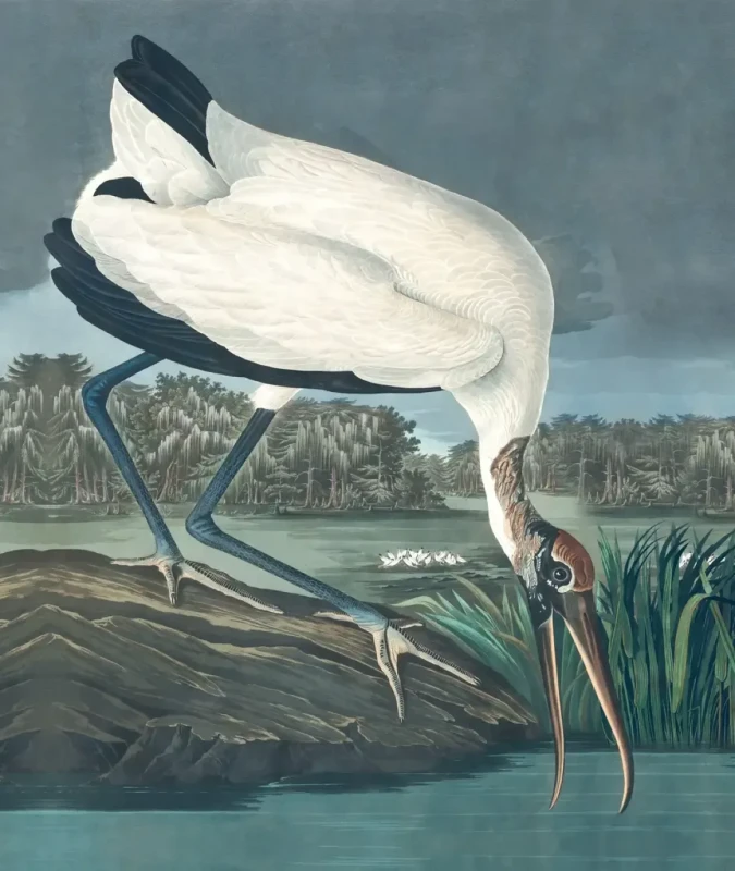 Artystyczna tapeta z dużym ptakiem mural Stork.webp