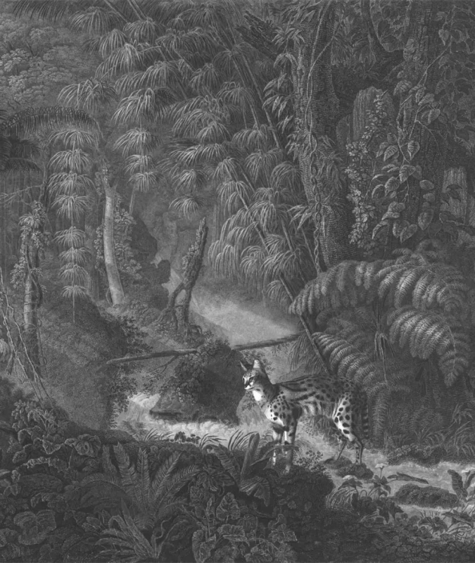 Mural z dzikimi kotami w dżungli Palms and cats.webp