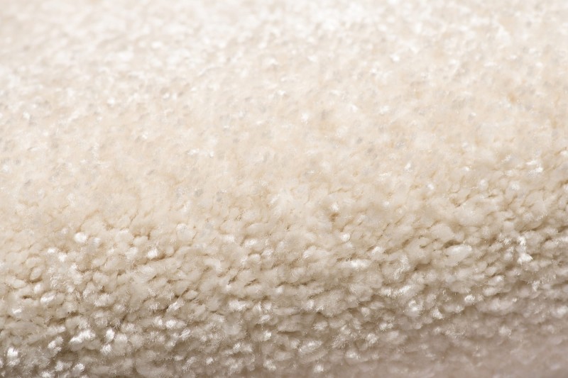 Wykładzina dywanowa AW Sensation 33 (obiektowa) pokazane runo