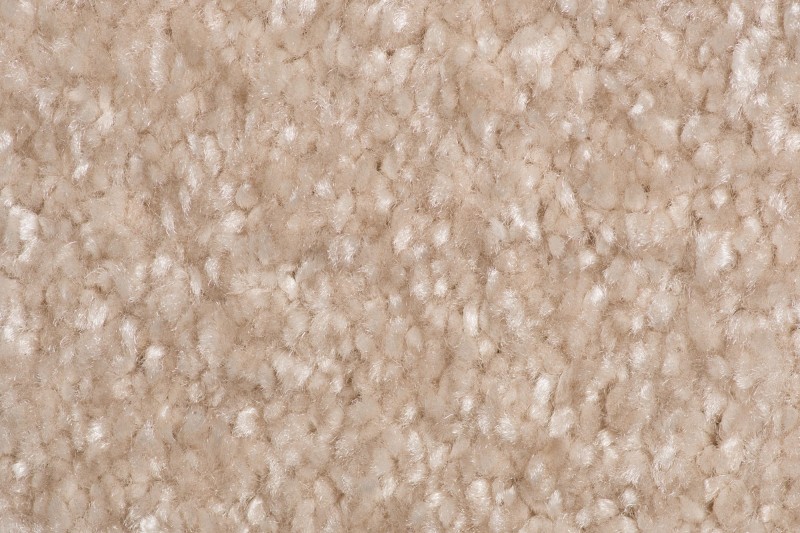 Wykładzina dywanowa AW Sensation 34 (obiektowa) zbliżenie runa