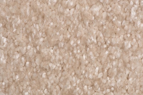 Wykładzina dywanowa AW Sensation 34 (obiektowa) zbliżenie runa