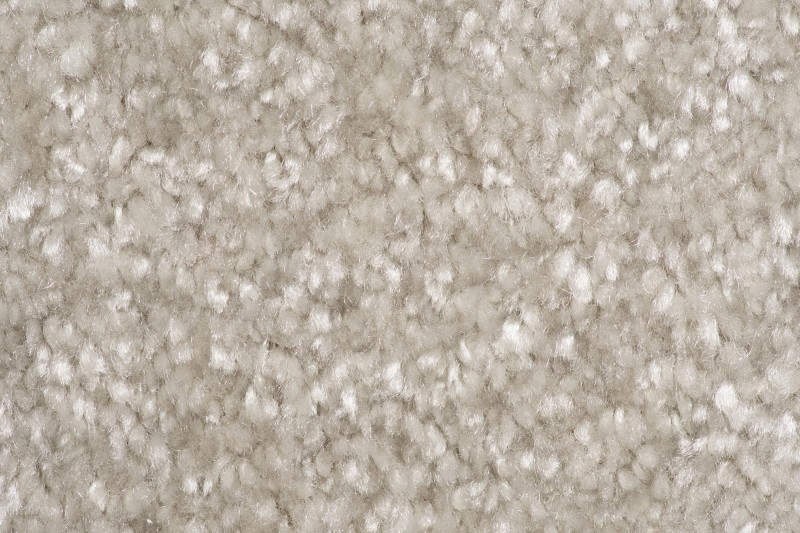 Wykładzina dywanowa AW Sensation 39 (obiektowa) zbliżenie runa