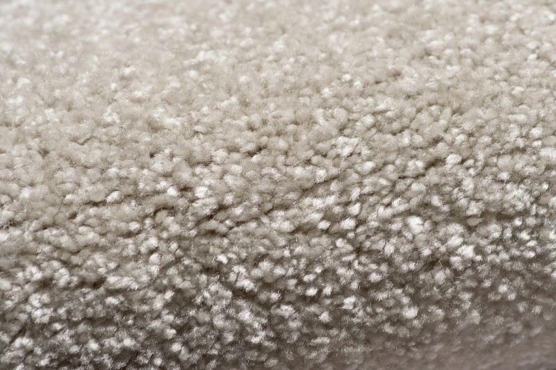 Wykładzina dywanowa AW Sensation 39 (obiektowa) pokazane runo