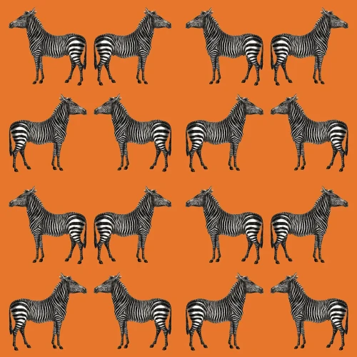 Tapeta Zebra Wallcolors.webp