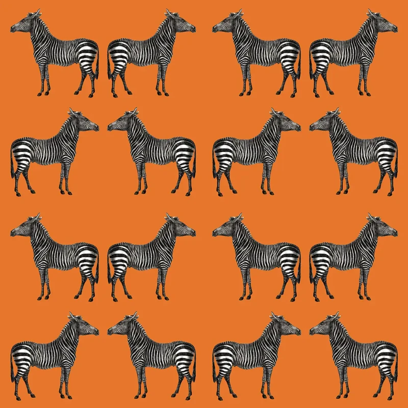 Tapeta Zebra Wallcolors.webp