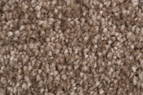 Wykładzina dywanowa AW Suspense 40 zbliżenie runa