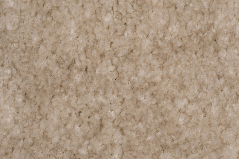 Wykładzina dywanowa AW Obsession 34 zbliżenie runa