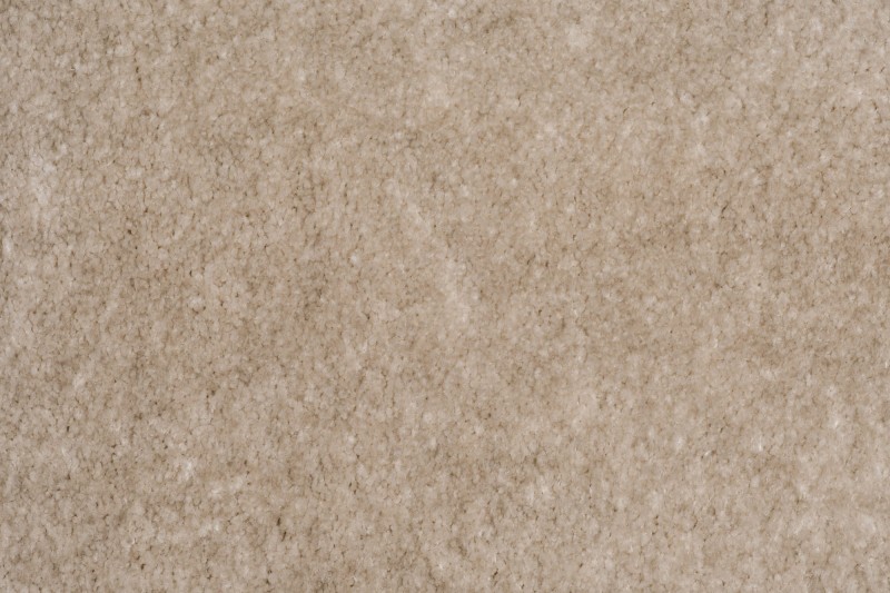 Wykładzina dywanowa domowa AW Obsession 34