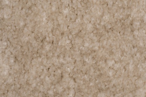 Wykładzina dywanowa AW Obsession 34 zbliżenie runa