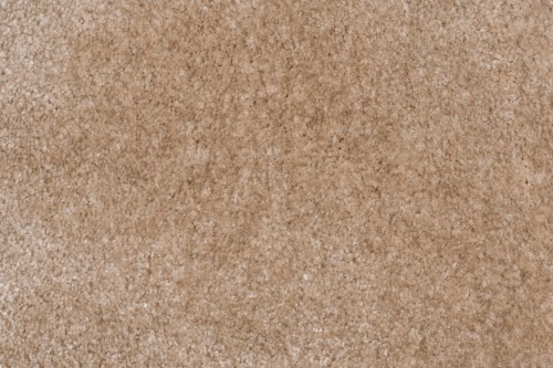 Wykładzina dywanowa domowa AW Obsession 36 beż