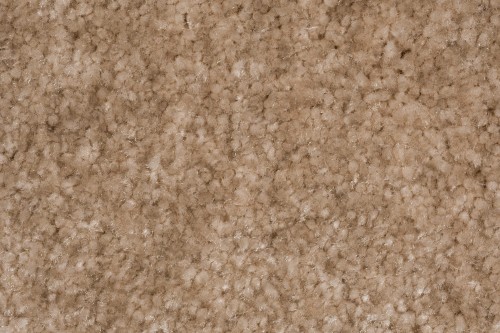 Wykładzina dywanowa AW Obsession 36 zbliżenie runa