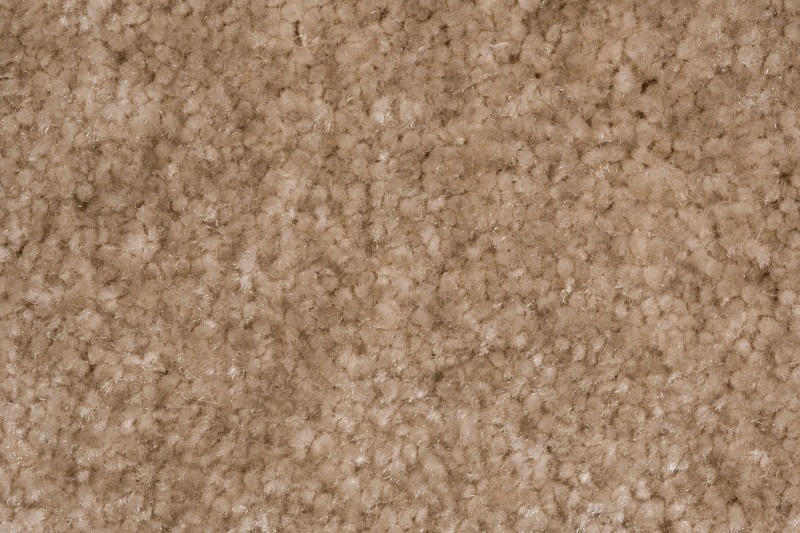 Wykładzina dywanowa AW Obsession 36 zbliżenie runa