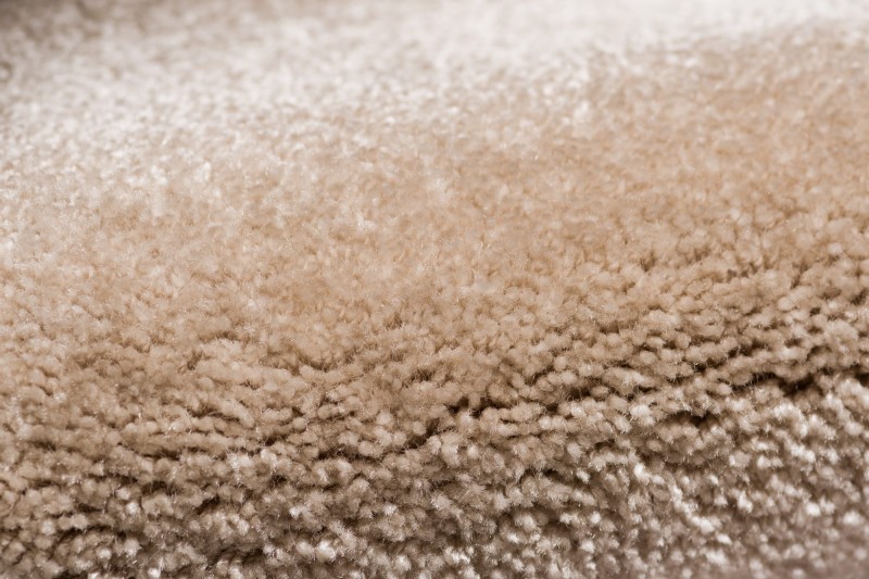 Wykładzina dywanowa AW Obsession 36 runo