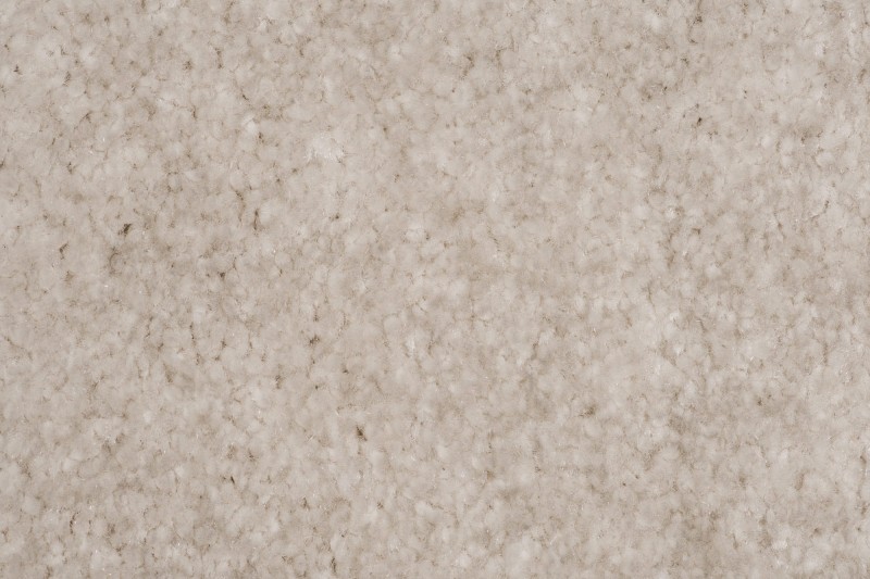 Wykładzina dywanowa AW Obsession 39 zbliżenie runa