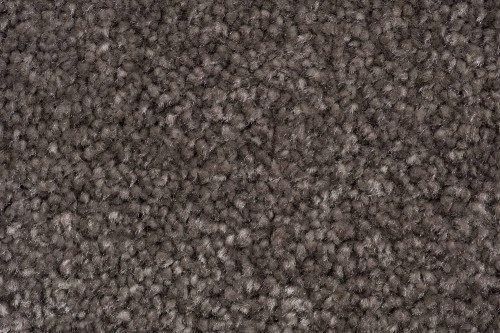 Wykładzina dywanowa AW Obsession 43 zbliżenie runa