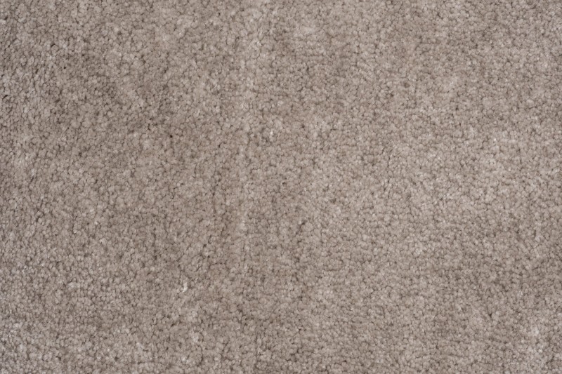 Wykładzina dywanowa domowa AW Obsession 45