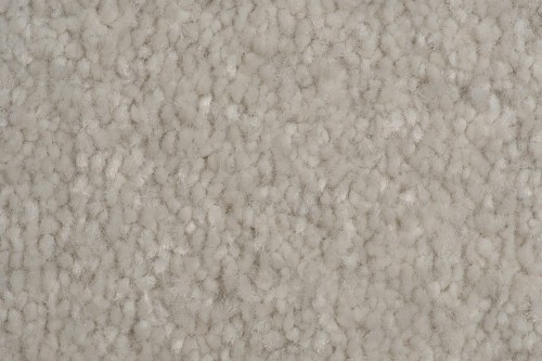 Wykładzina dywanowa AW Satisfaction 09 faktura