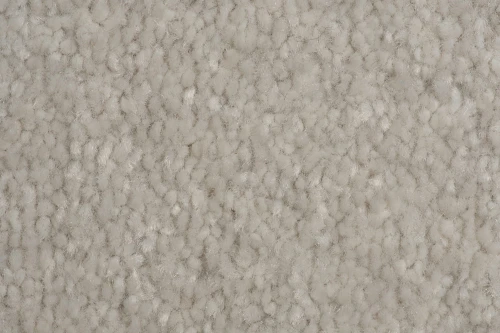 Wykładzina dywanowa AW Satisfaction 09 faktura