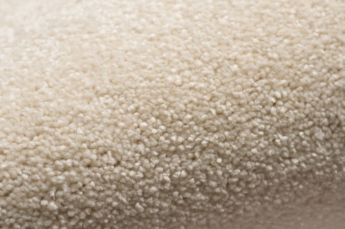 Wykładzina dywanowa AW Satisfaction 33 kremowa zbliżenie runa