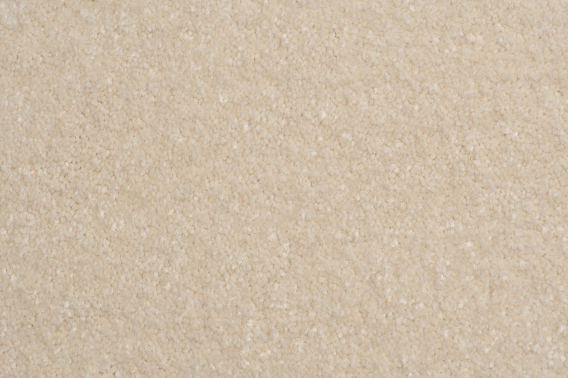 Wykładzina dywanowa AW Satisfaction 33 kremowa