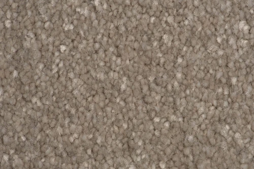 Wykładzina dywanowa AW Satisfaction 39 faktura