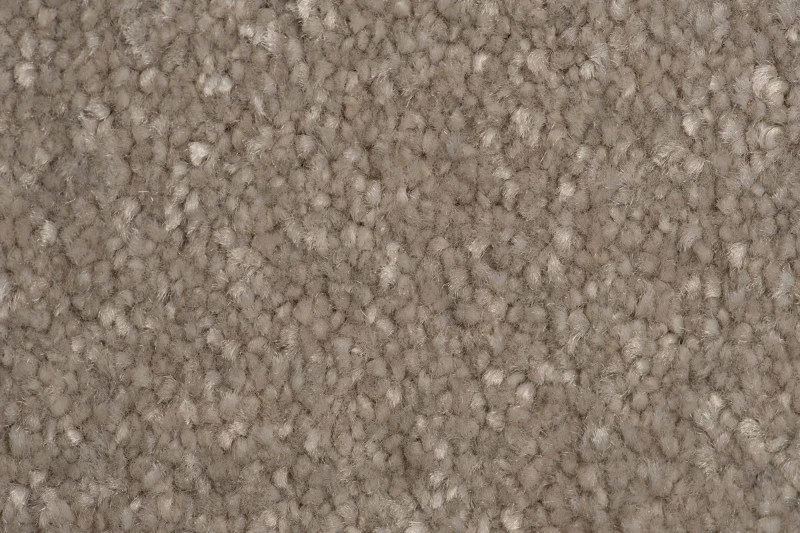 Wykładzina dywanowa AW Satisfaction 39 faktura