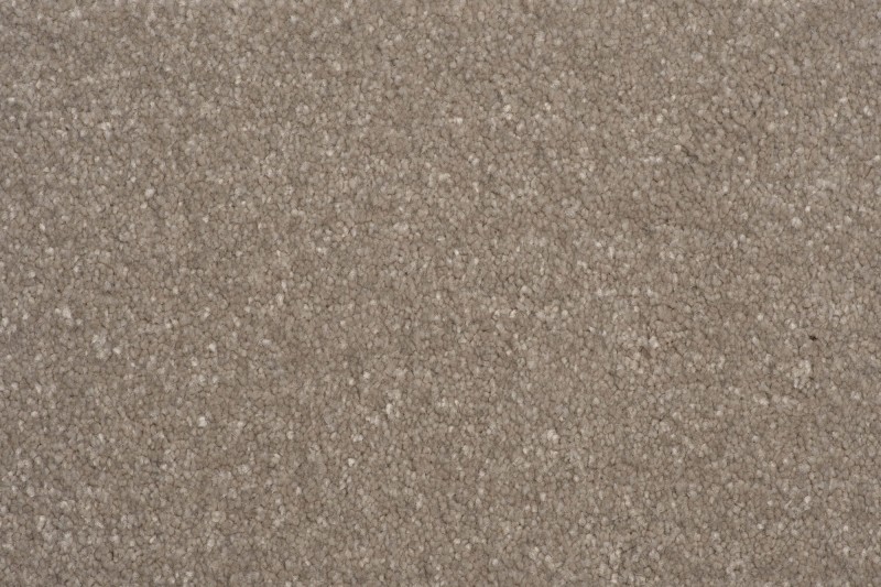 Wykładzina dywanowa AW Satisfaction 39