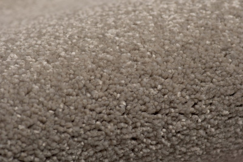 Wykładzina dywanowa AW Satisfaction 39 zbliżenie runa