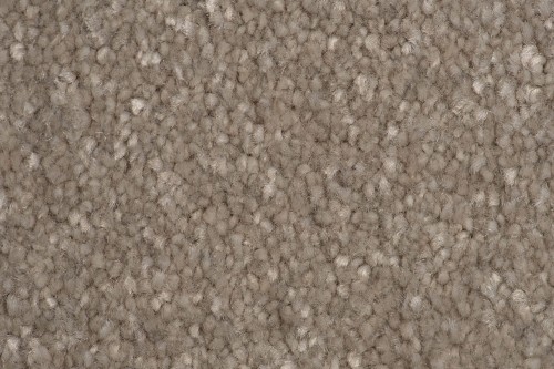 Wykładzina dywanowa AW Satisfaction 39 faktura