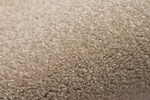 Wykładzina dywanowa AW Satisfaction 36 zbliżenie runa