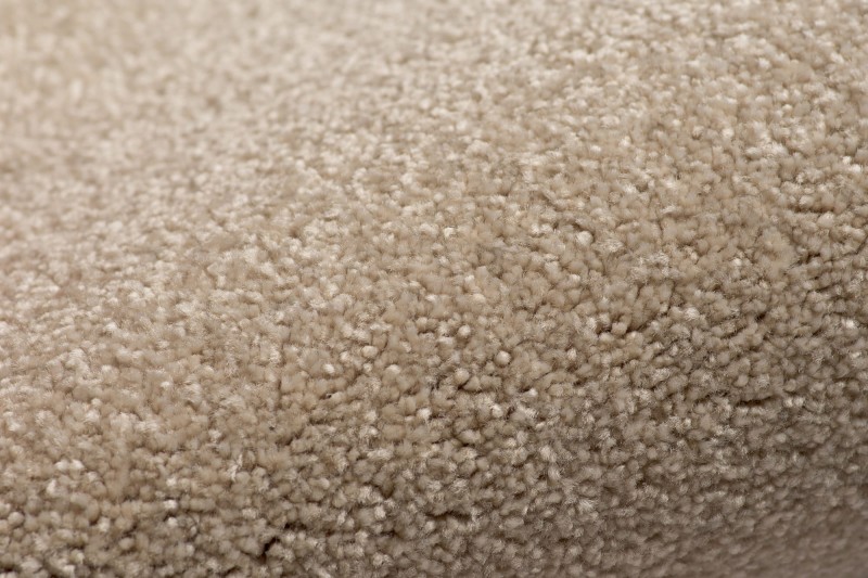 Wykładzina dywanowa AW Satisfaction 36 zbliżenie runa