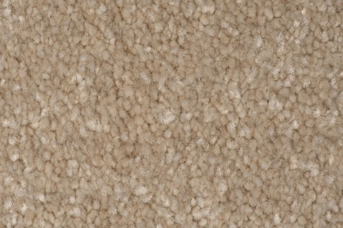 Wykładzina dywanowa AW Satisfaction 36 faktura