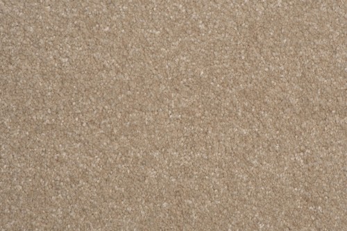 Wykładzina dywanowa AW Satisfaction 36