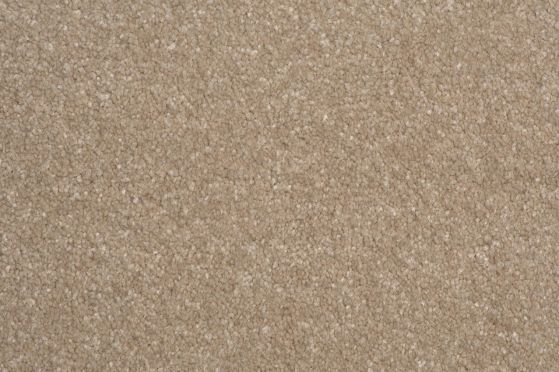 Wykładzina dywanowa AW Satisfaction 36