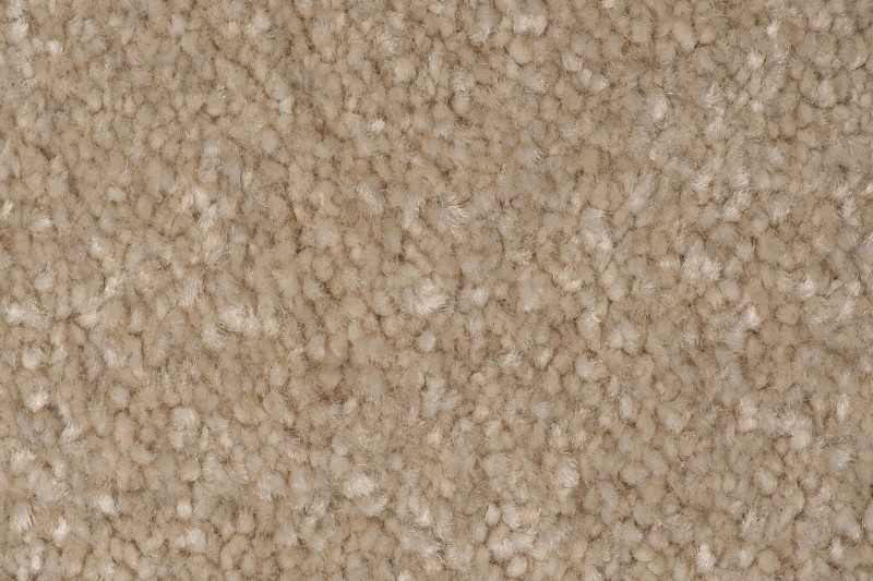 Wykładzina dywanowa AW Satisfaction 36 faktura