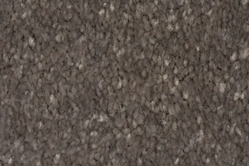 Wykładzina dywanowa AW Satisfaction 49 faktura