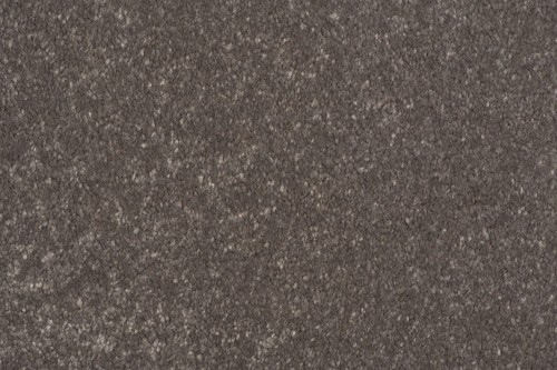 Wykładzina dywanowa AW Satisfaction 49 (domowa) 4m    