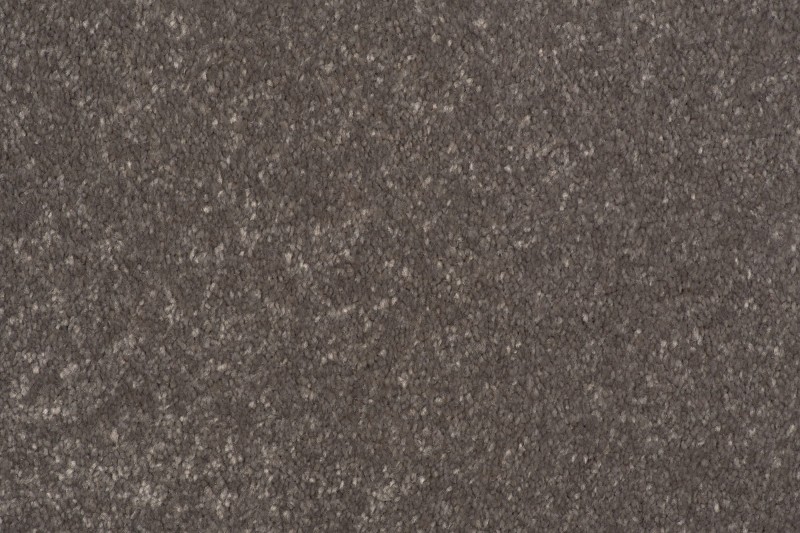 Wykładzina dywanowa AW Satisfaction 49