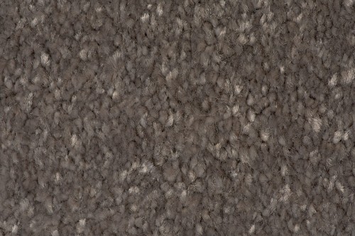 Wykładzina dywanowa AW Satisfaction 49 faktura