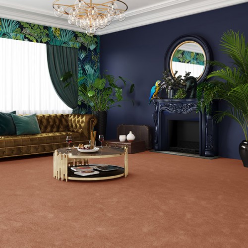 Wykładzina dywanowa AW Satisfaction 82 w aranżacji