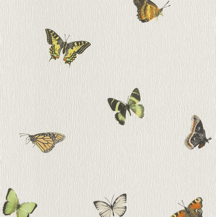 Tapeta Home Style 633047 w motyle