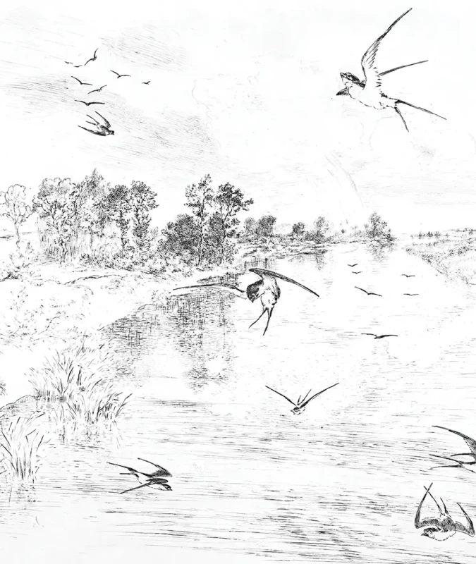 Tapeta czarno-biała z jaskółkami Wallcolors Swallow.webp