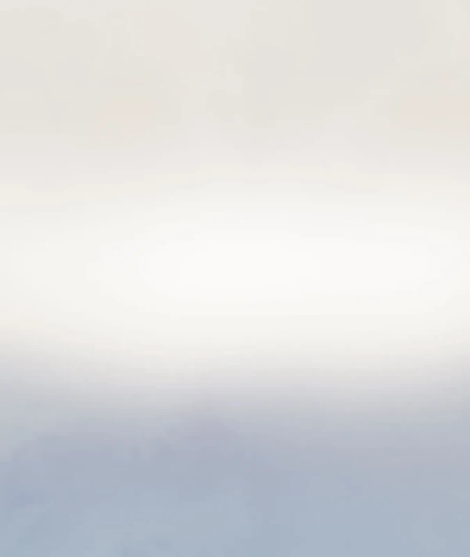 Tapeta cieniowana Ombre Mist Wallcolors.webp