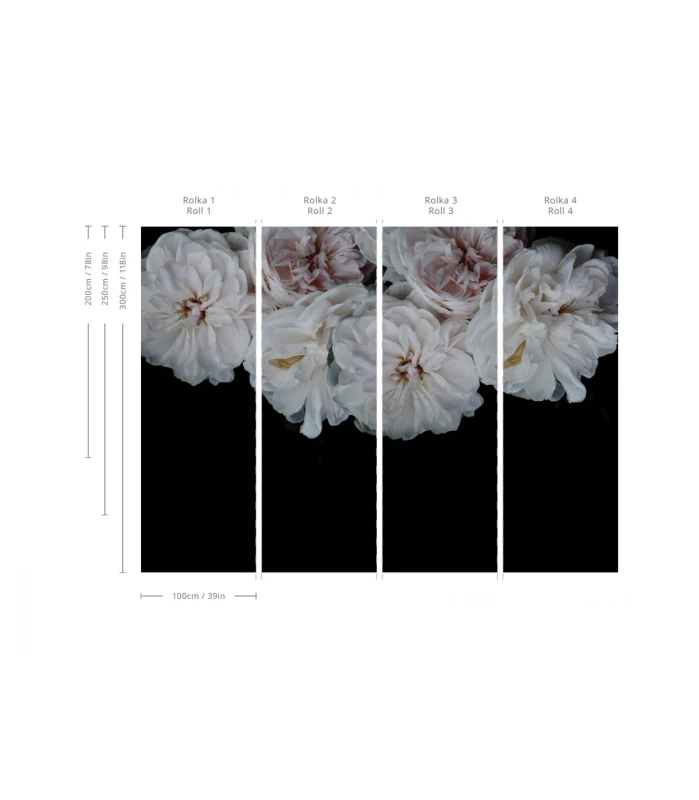 Tapeta czarna kwiaty piwonie Peony Wallcolors.webp